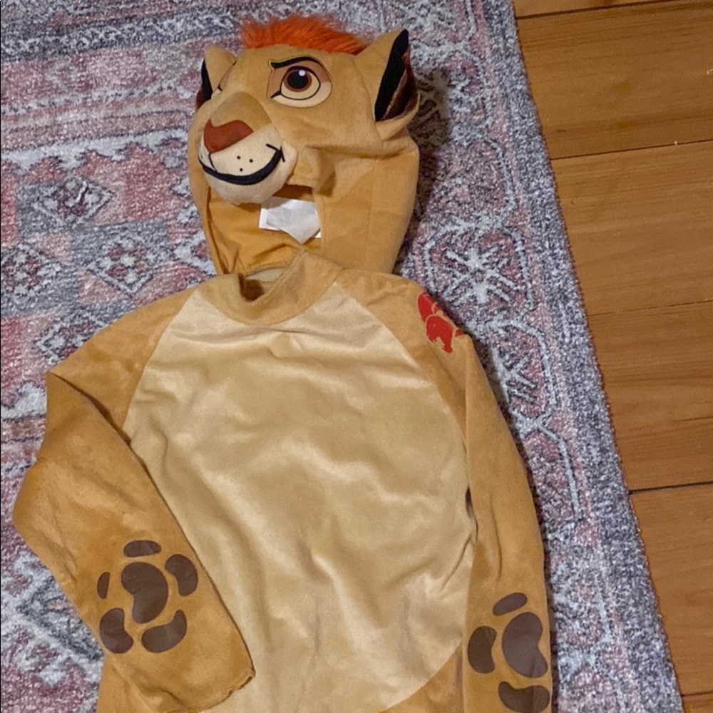 Lion Guard kids costume